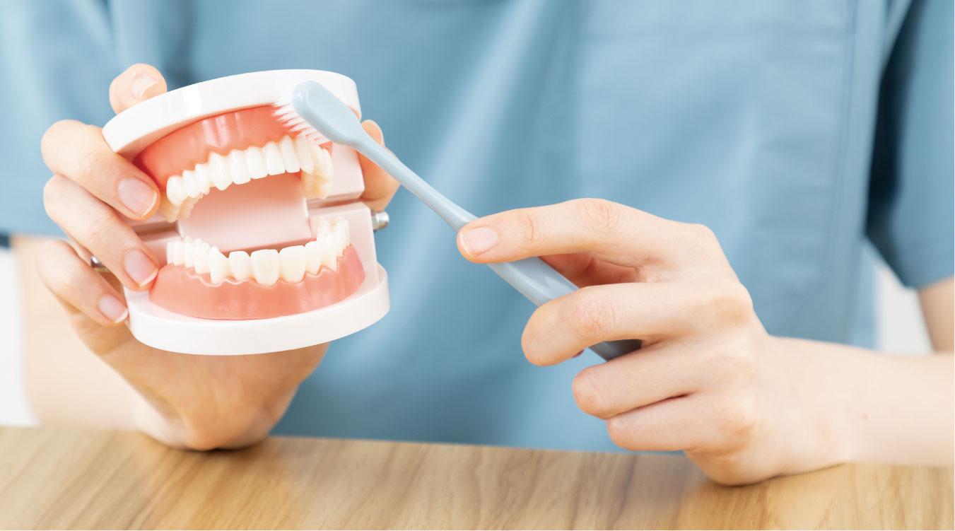予防歯科指導